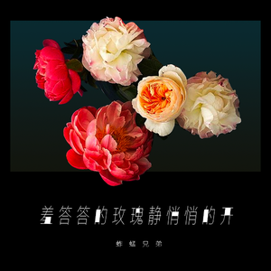 黃色A片三級三奶大
